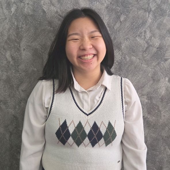 Professional Insurance Agent